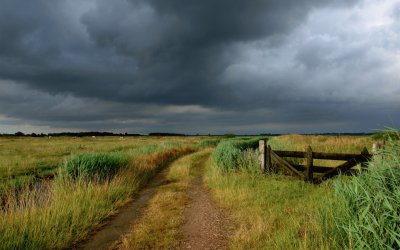 coming storm