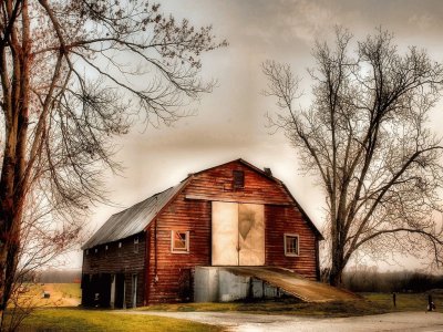 country scene