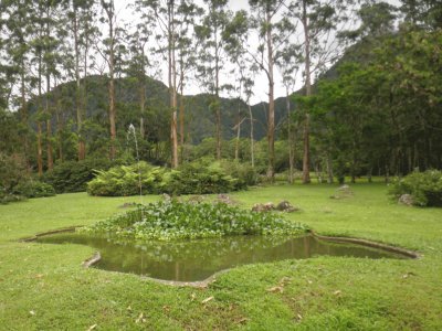 pequeÃ±a laguna