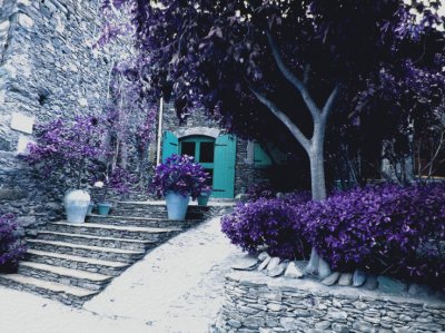 Purple Village Walkway