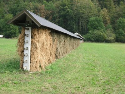 hay in drying rack