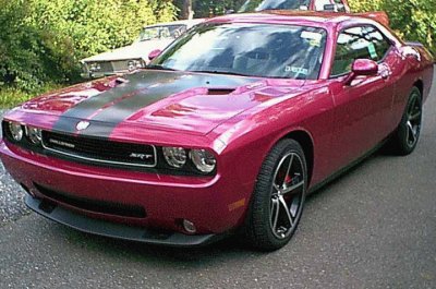 Fuchsia Dodge Challenger