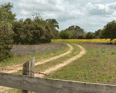 field trail