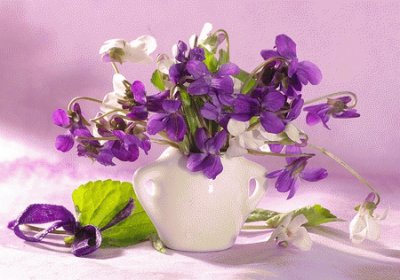 Delicate Violet Still Life