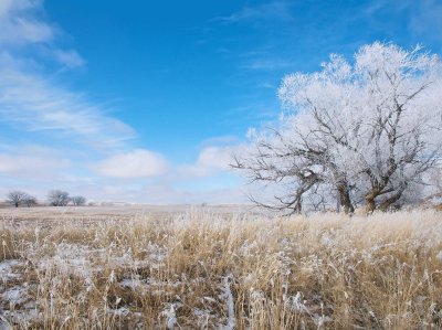 Spring snowfall Wyoming