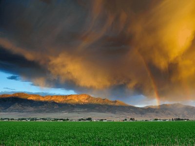 storm over cornfield