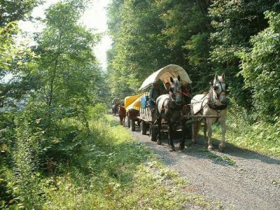 covered wagon