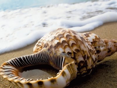 Florida beach