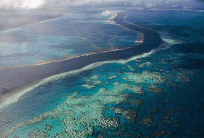 great barrier reef