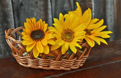 Baskets of sunflowers