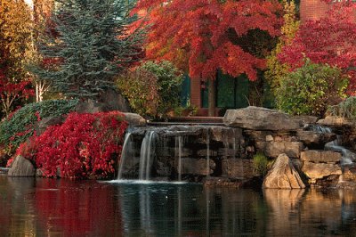 autumn in city park