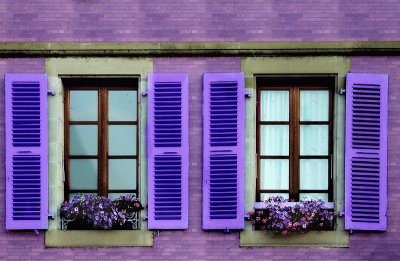 Windows with Purple Shutters