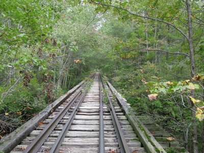 Pinebarrens Atsion trestle