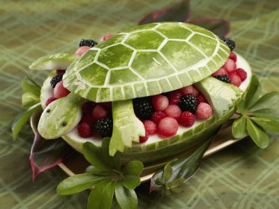 melon as turtle