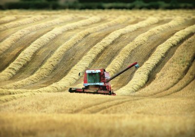 combine harvester