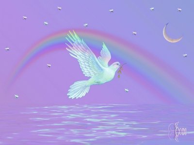 Soaring White Dove-Art