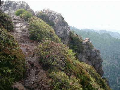 Appalachian Trail