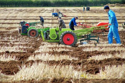 Ploughing match