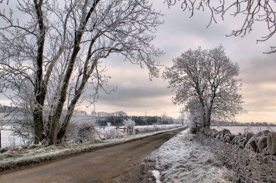 frosty lane