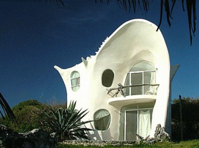 shell beach house