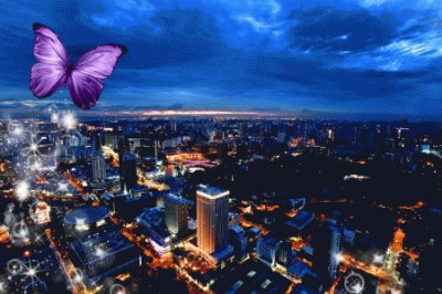 Purple Butterfly Over City