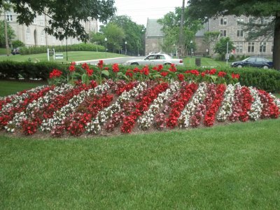 JARDINES WASHINTONG.