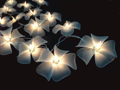 flower lights