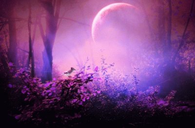 Misty Moon in Purple Forest