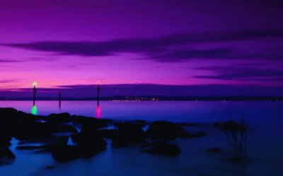 Purple Sunset