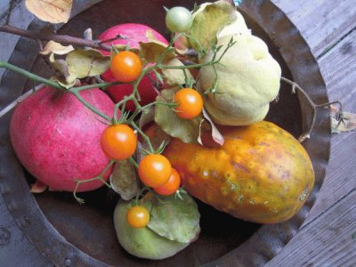 end of summer veggies