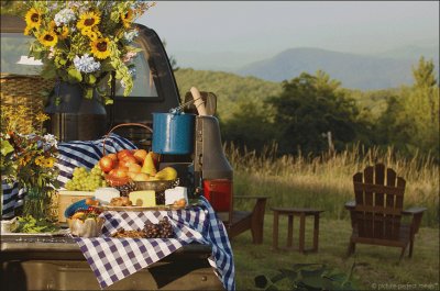 truck picnic