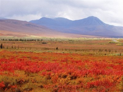 august on the high plains