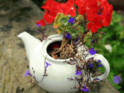 פאזל של teapot flowers