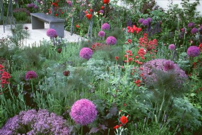 Lush Flower Garden