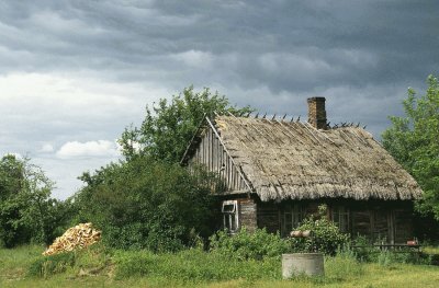 thatched roof farmhouse