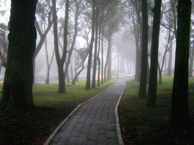 sendero de niebla