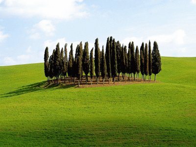 copse Italy