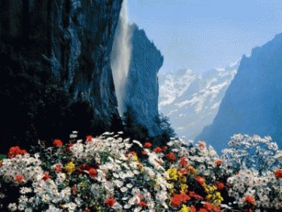 waterfall and mountain flowers