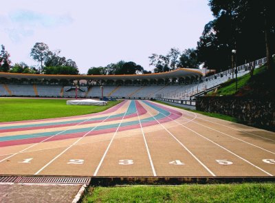 estadio