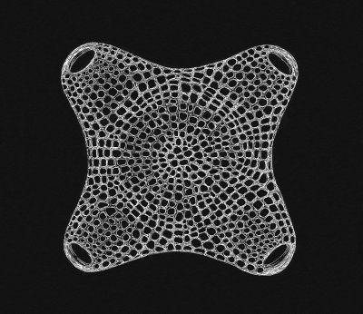 diatom