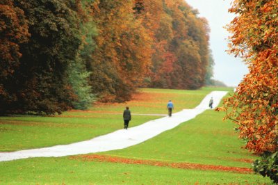 Autumn in the park - Cirencester