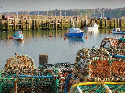 Scarborough nets and boats