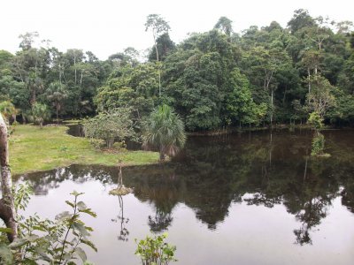 Amazonia Ecuatoriana