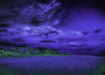 Storm Clouded Purple Field