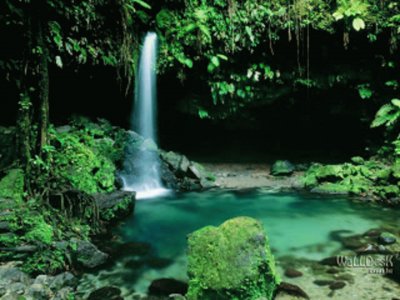 cachoeira