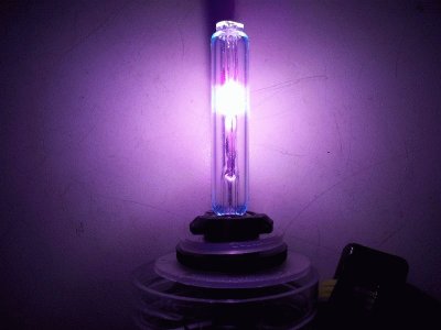 Dark Purple Xeon Lamp