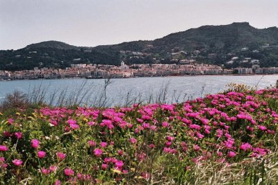 Port de la Selva