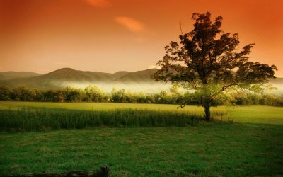 Cades Cove Tennessee