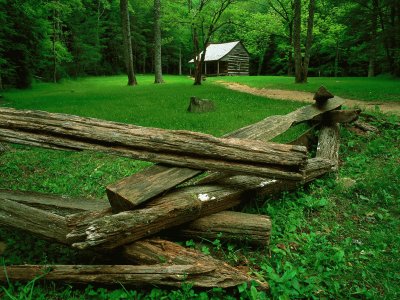 Carter Shield cabin