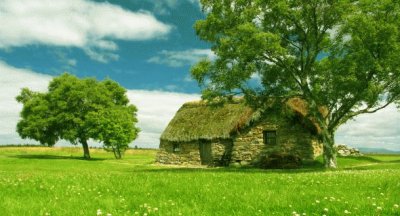 stone house in meadow